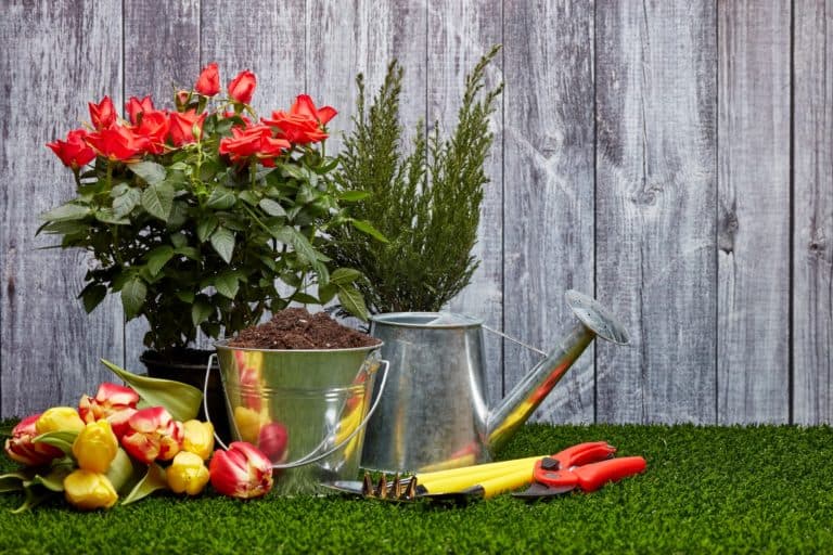 Can You Put Plant Pots or Planters on Artificial Grass?